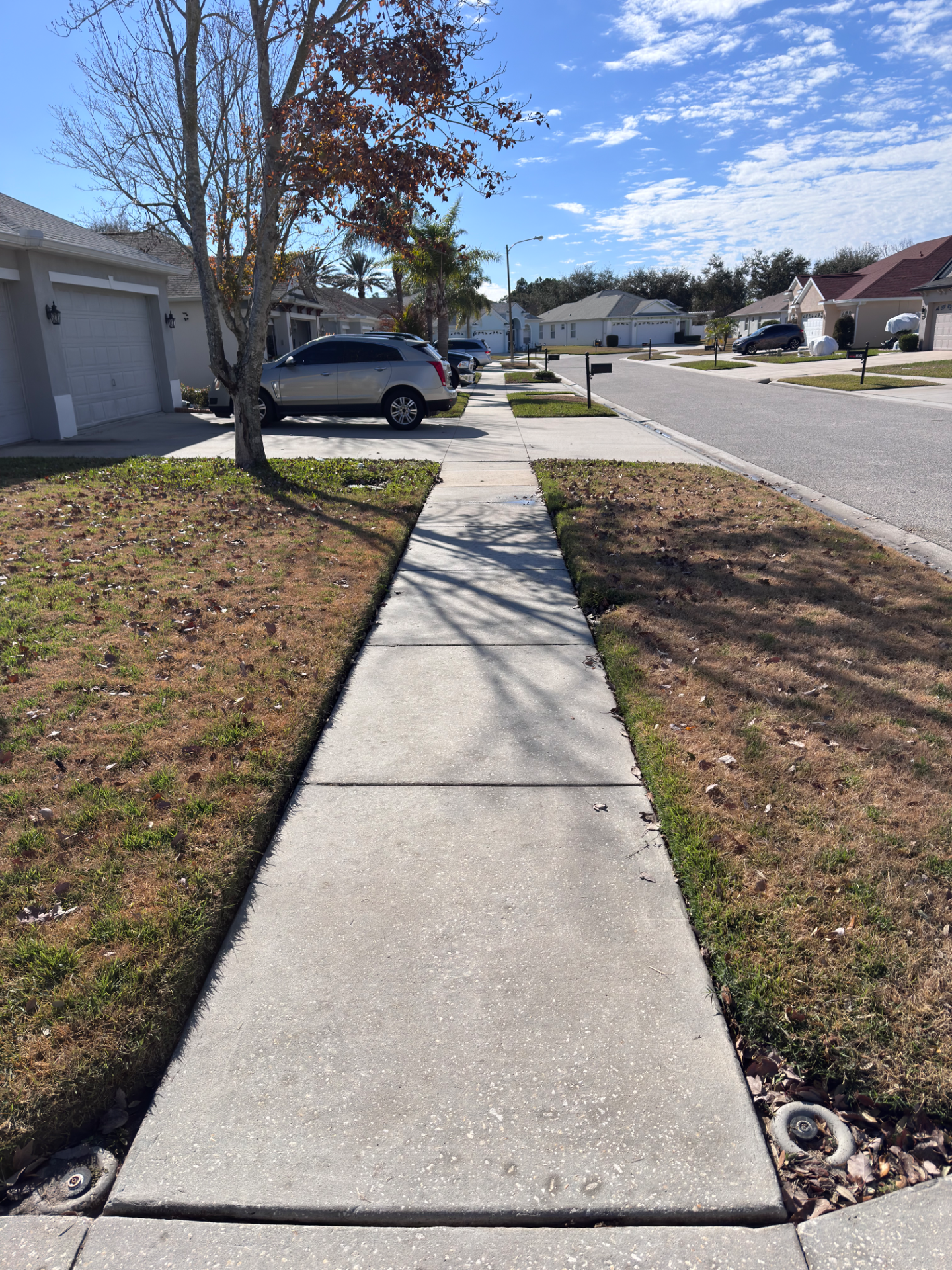 Sidewalk Cleaning in Port Richey, FL - Hudson Pressure Pros Property Protection Protocol™ - After