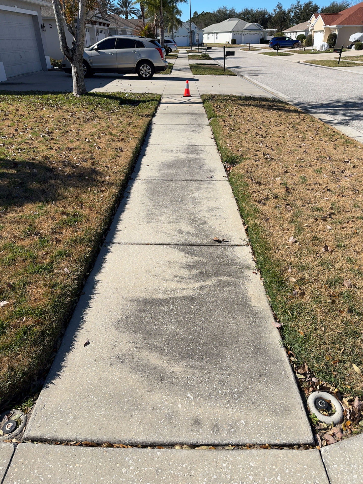 Sidewalk Cleaning in Port Richey, FL - Hudson Pressure Pros Property Protection Protocol™ - Before